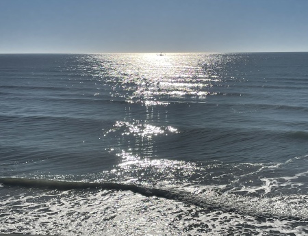 HARRY HAUS's album, N Topsail Beach