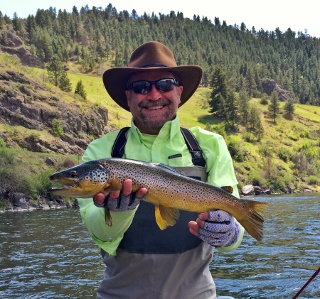 Missouri River Brown Trout