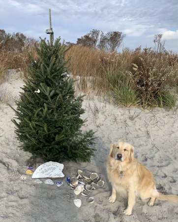 Merry Christmas from Doggie Beach