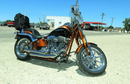 2010 Harley Springer