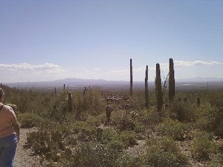 Tucson, AZ