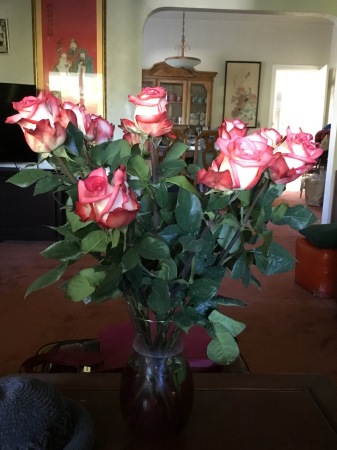 Love roses in our livingroom