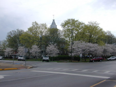 Richard Fox's album, Over 65 in Kentucky