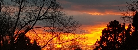 Backyard sunset in Fort Collins, Co.