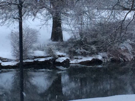 Creek near my house