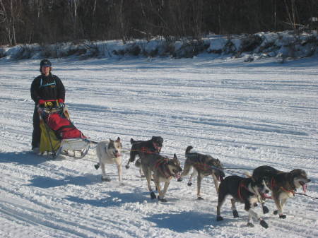 Mushing on the Susitna River