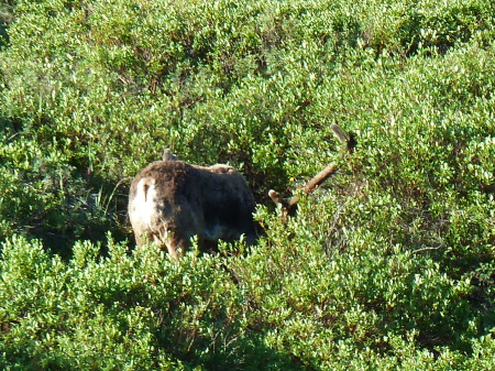 Ralph Smith's album, Alaska