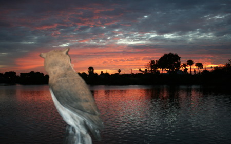 Christmas Eve from the dock