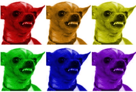 Rainbow Angry Dogs