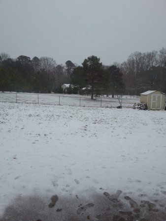 Senoia Ga rare snow fall