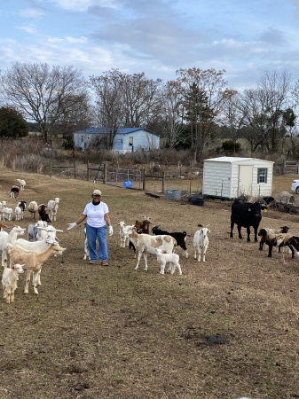 Me, out on the farm