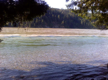 Overflowing Fraser River in Hope BC