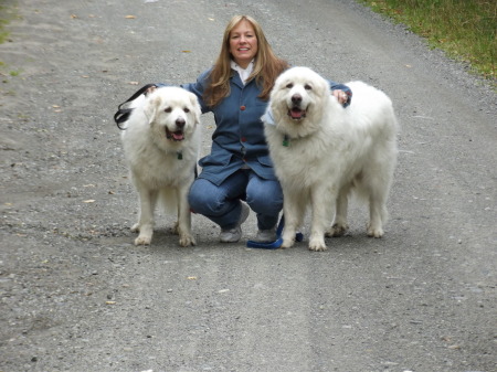 Cathy (Cruz) w/ Winter Sky & Duke- Great Pyrenees