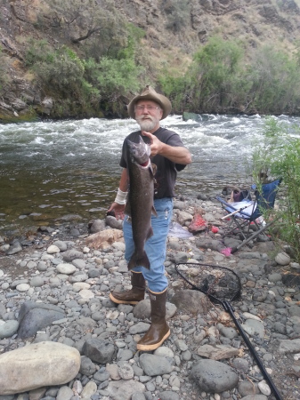 Spring Chinook from Salmon River