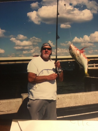 Pompano caught at St. Petersburg Florida 