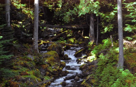 Mtn. stream -Hurricane Redge area