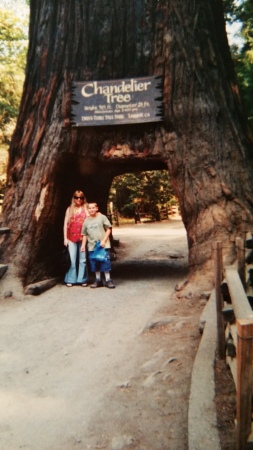 California Redwoods August 2002