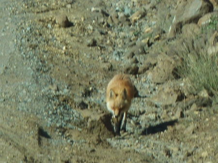 Ralph Smith's album, Alaska