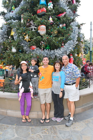 California Adventure with family