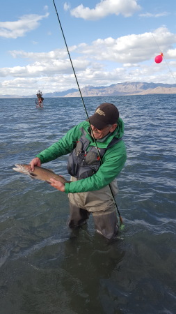 Lahontan Cutthroat Trout, Pleistocine Ice Age survivor