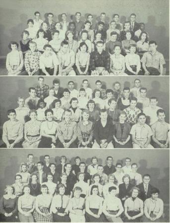 Lynne Stewart's Classmates profile album