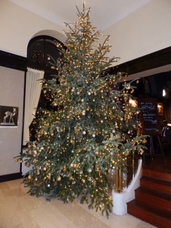 Christmas in hotel in Karlsruhe