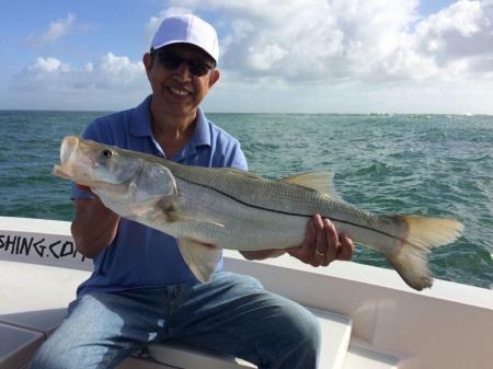 Snook caught off Sebastian Inlet 