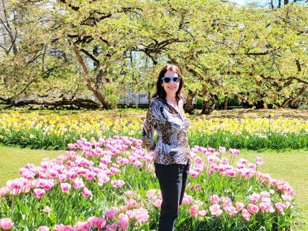 Tulip Festival - Netherlands 