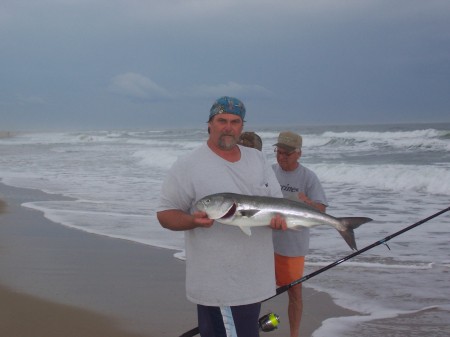 outer banks chopper bluefish