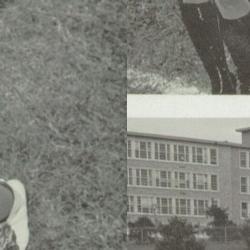 Pamela Wilkinson's Classmates profile album