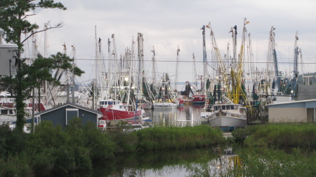 Oriental's Shrimper Fleet