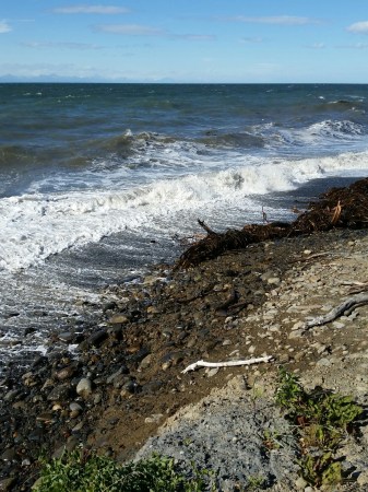 Cook Inlet 