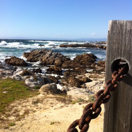 Asilomar Beach