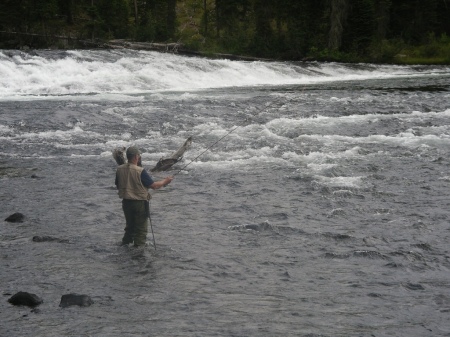 Fishing Henrie's Fork at Yellowstone