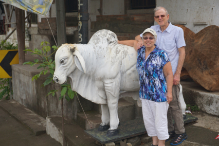 Still a Brahma! Dan and Lindie in Nicaragua 