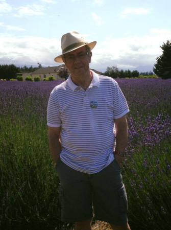 BUYING LAVENDER