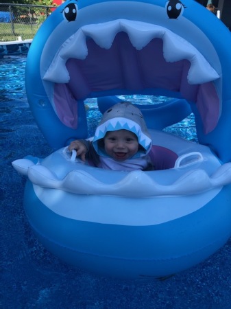 Baby Shark Shark Shark Shark Shark!!