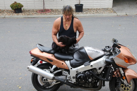 daughter's cat on my motorcycle March 20 2013