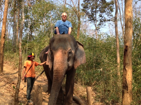 Baan Elephant Rescue in Thailand, 2013