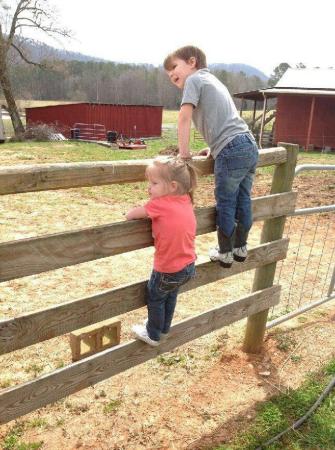 Brenda's two youngest grandkids