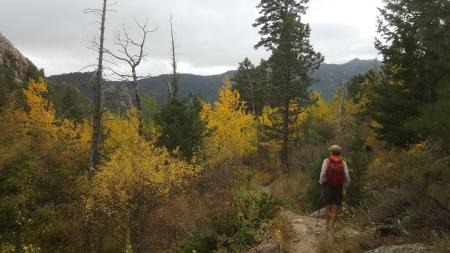 Fall colors in CO