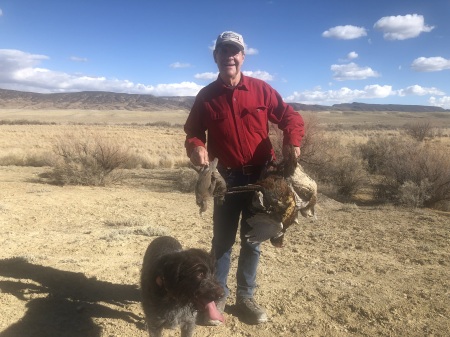 Pheasant and Chukar