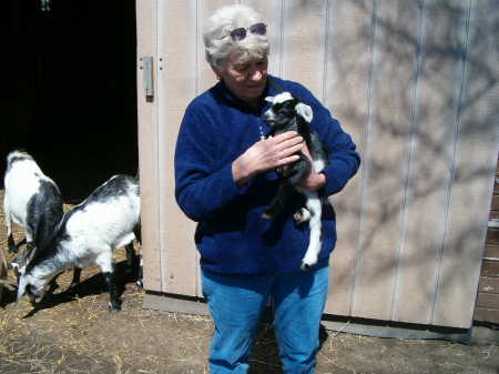 Ellen with one of sons baby goats.
