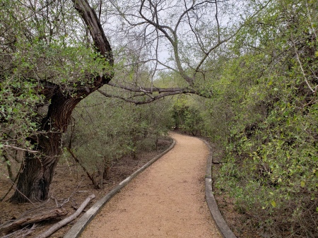 Mike Koehler's album, McAllen Nature Center