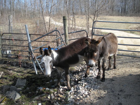 Vern and Billie Bob