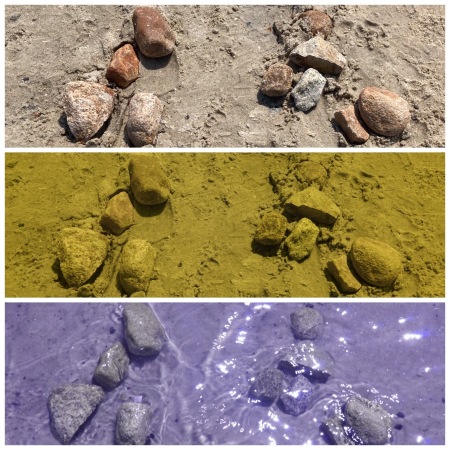 Rocks at Skaket Beach, Orleans - July 2021