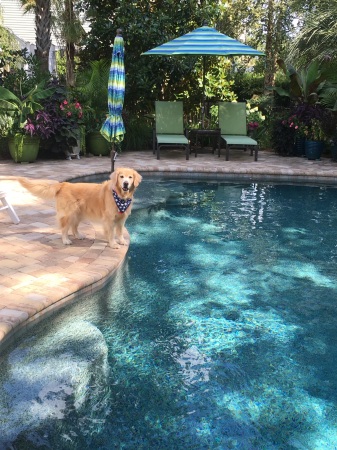 Savannah and her pool