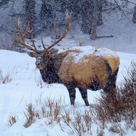 Rocky Mountain National Park