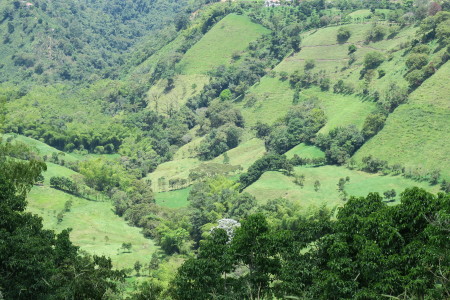 Outside Pereira , Colombia