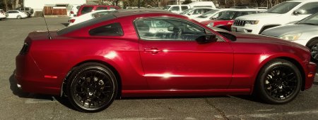 2014 Ruby Red Ford Mustang!